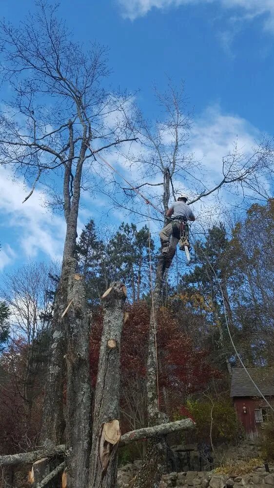 Reliable lawn care service in Woodbury, CT by Lasky Enterprises