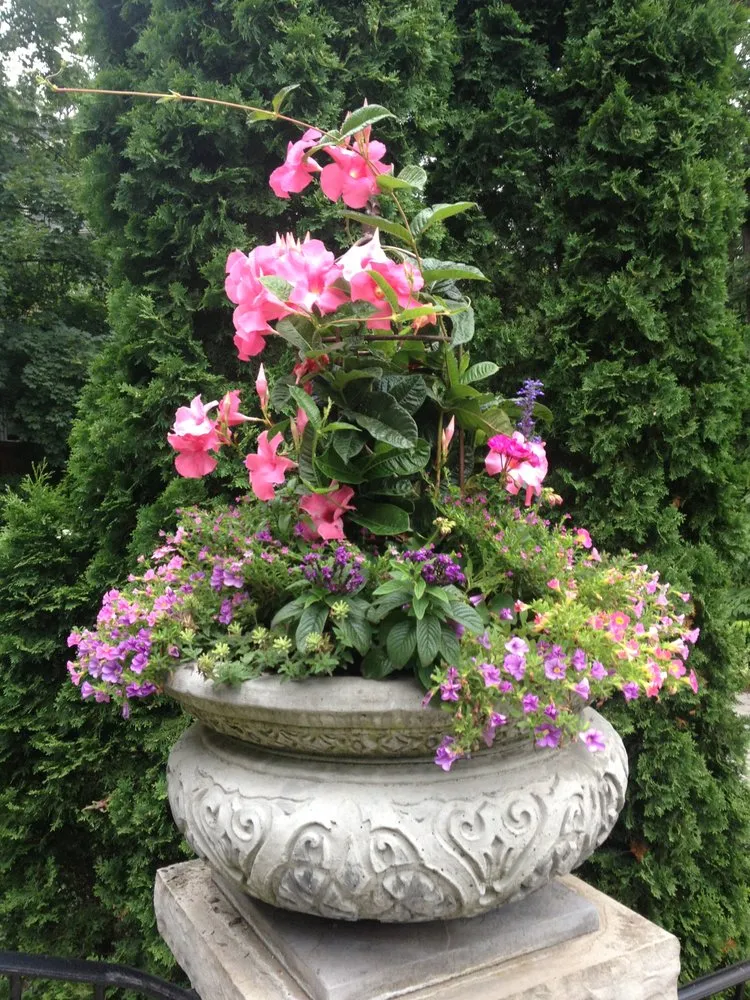 Reliable yard maintenance in Villa Park, IL - Laslo Landscaping