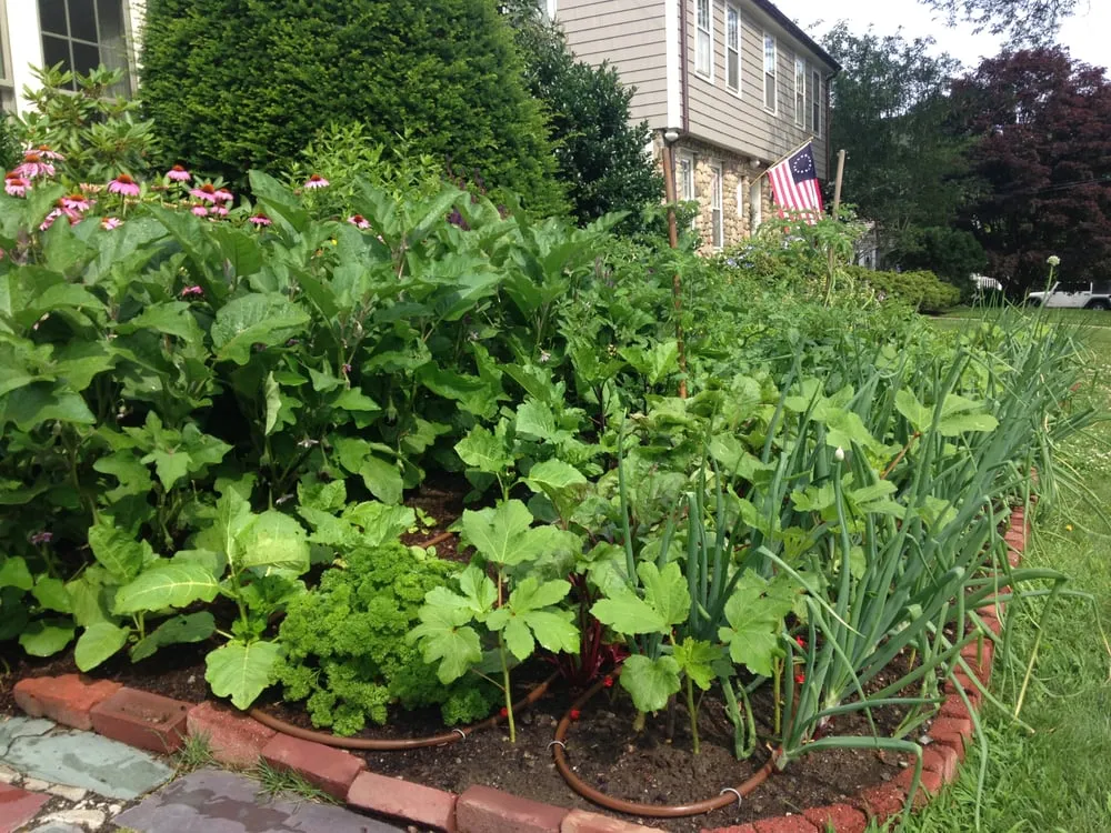 Reliable outdoor landscaping in Marblehead, MA - Lassana's Landscaping Inc