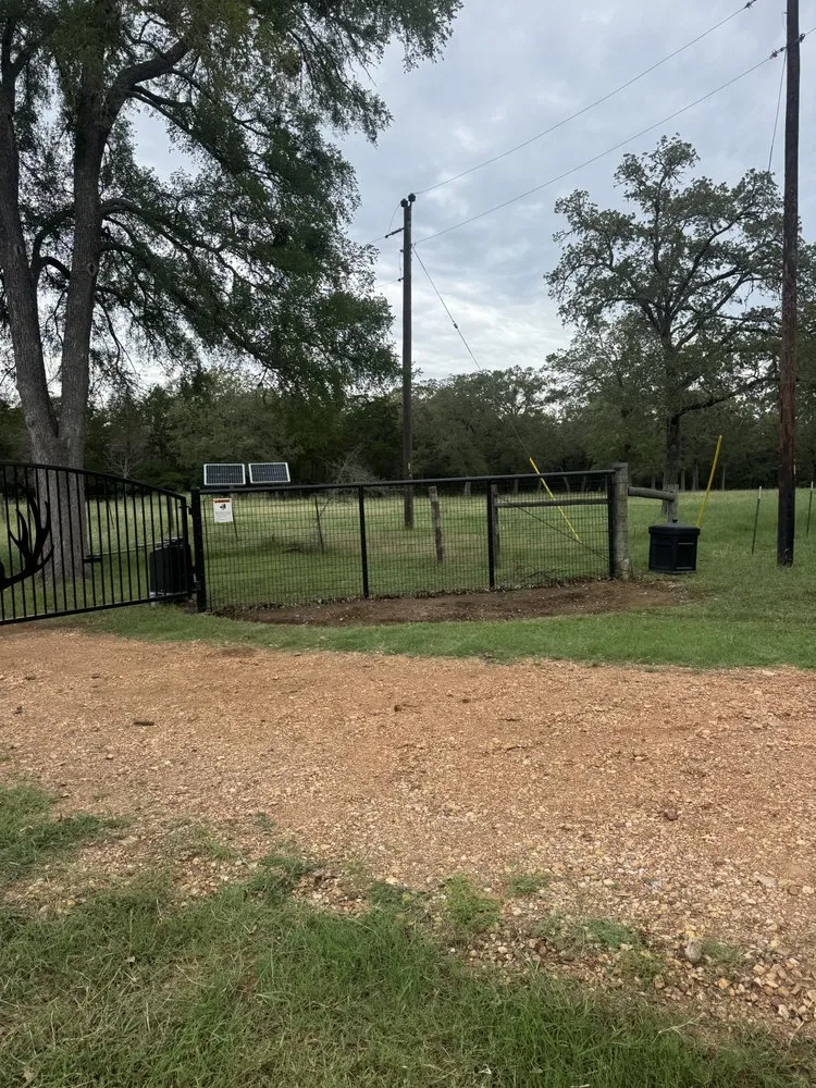 Expert yard maintenance in Austin, TX - Lasso Services