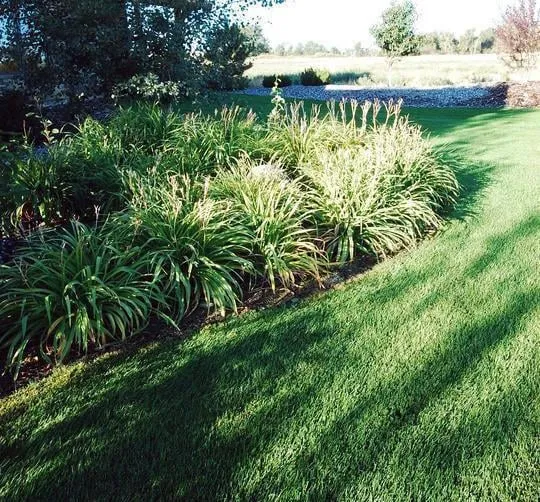 Top-rated garden landscaping in Gallatin Gateway, MT - Last Best Place Landscaping, Inc