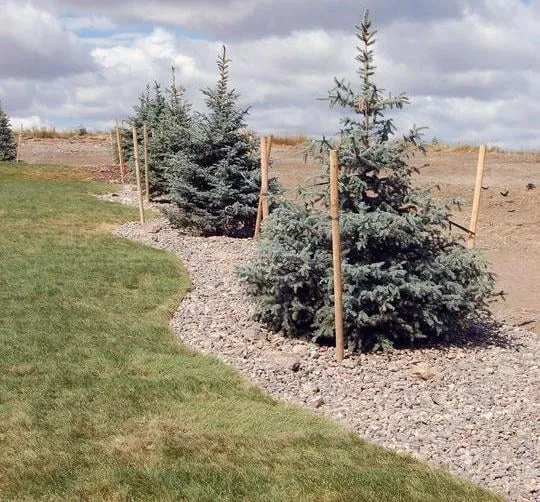 Affordable landscaping services in Gallatin Gateway, MT by Last Best Place Landscaping, Inc