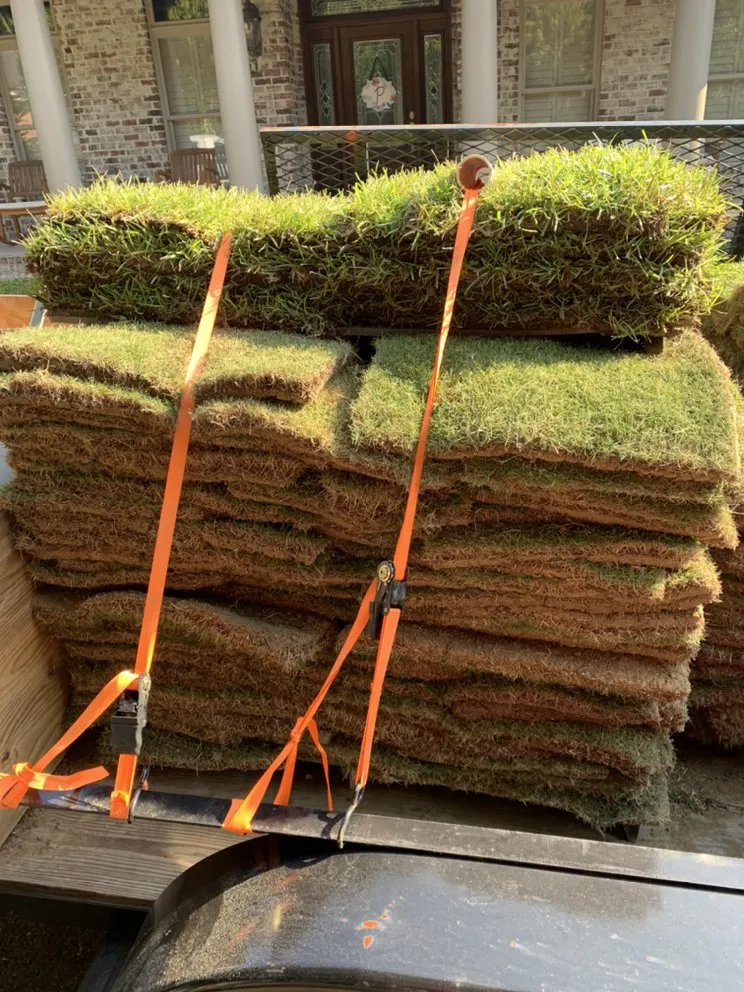 Expert landscape installation in Cottondale, AL by Last Chance Irrigation