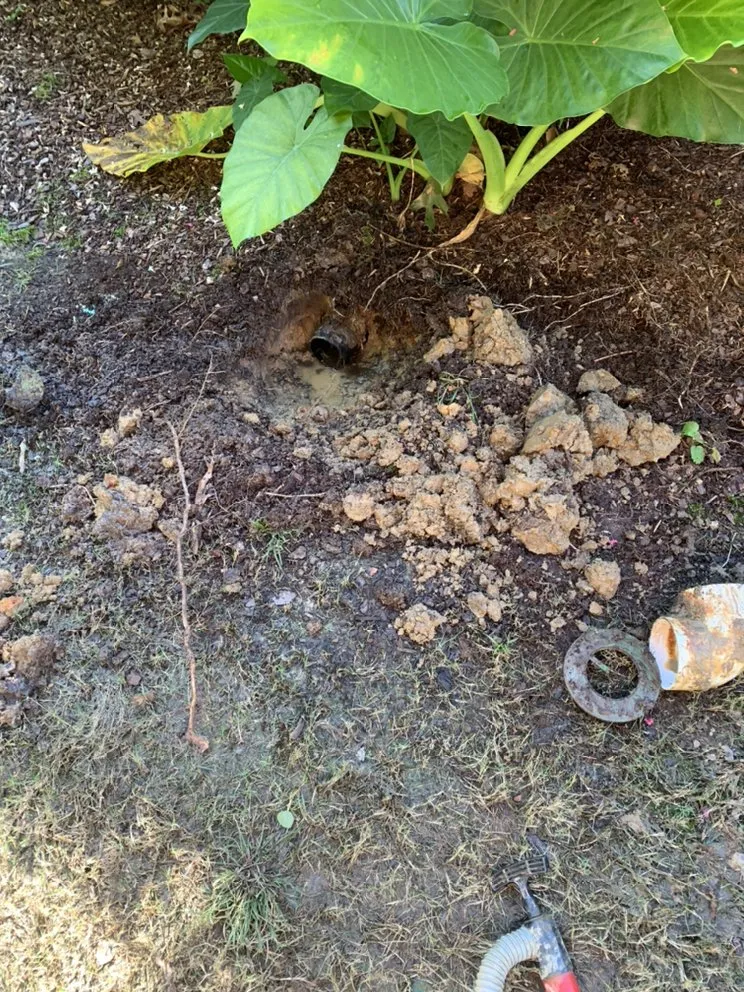 Trusted lawn mowing service experts serving Cottondale, AL - Last Chance Irrigation