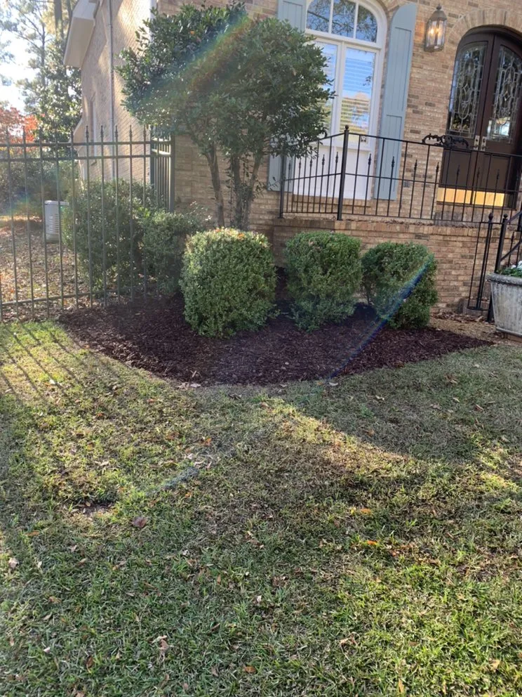 Reliable residential landscaping for beautiful yards across Cottondale, AL - Last Chance Irrigation