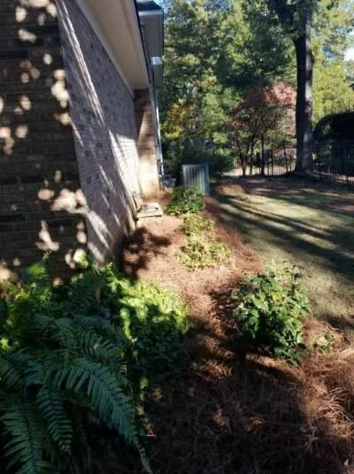 Top-rated yard cleanup service experts serving Cottondale, AL - Last Chance Irrigation