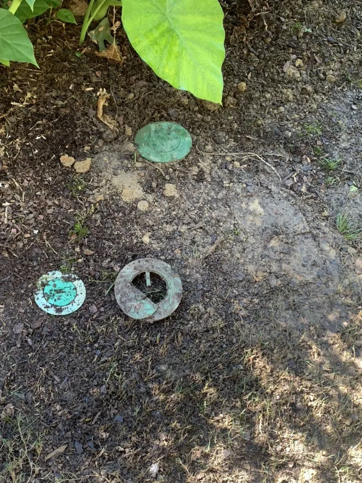 Affordable landscaping services in Cottondale, AL - Last Chance Irrigation