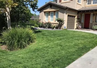 Affordable landscape installation experts serving Vista, CA - Last Frontier Landscape