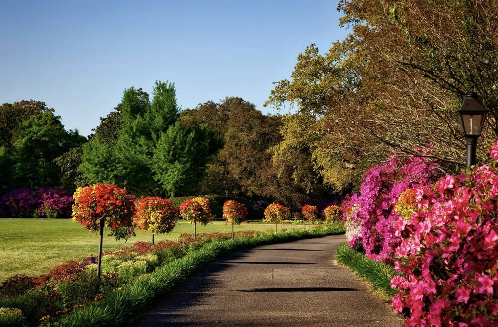 Professional landscape installation in Burtonsville, MD - Last Kid Home and Yard Care