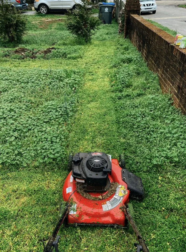 Affordable outdoor landscaping in Burtonsville, MD by Last Kid Home and Yard Care