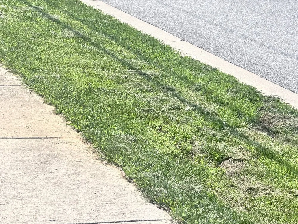 Reliable outdoor landscaping in Burtonsville, MD - Last Kid Home and Yard Care