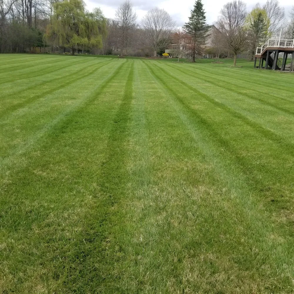 Top-rated yard maintenance experts serving Milan, MI - Last Minute Lawn