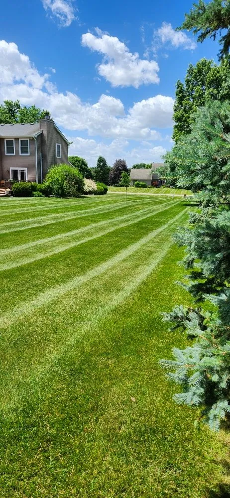 Professional yard cleanup service in Milan, MI - Last Minute Lawn