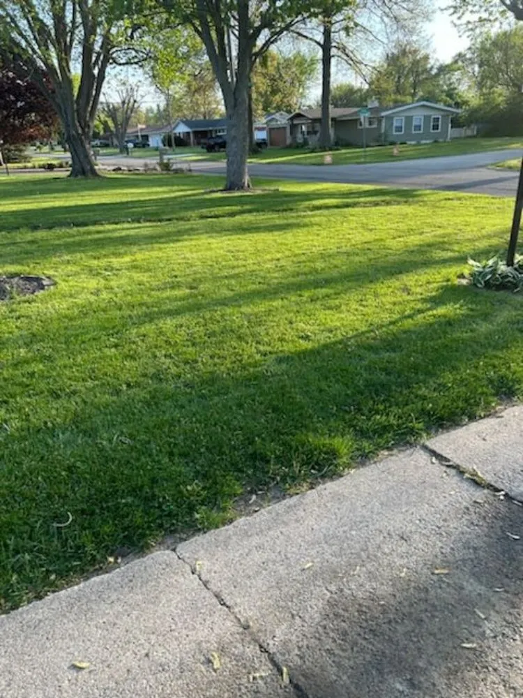 Local landscape design with custom design across Indianapolis, IN - Last Result Transpo