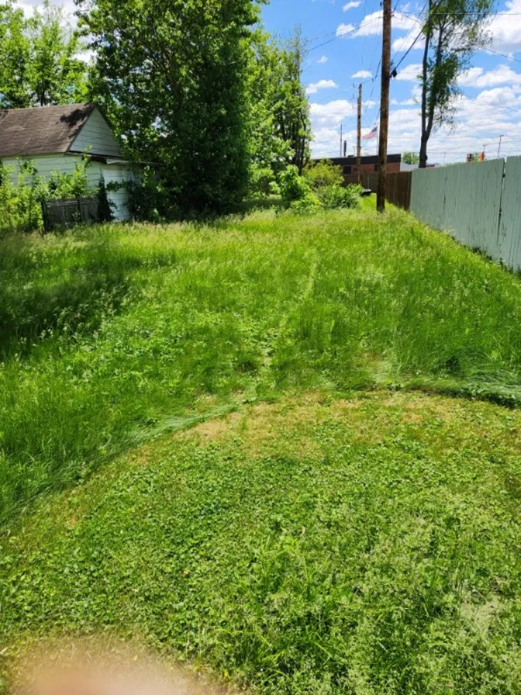 Reliable lawn care service experts serving Indianapolis, IN - Last Result Transpo