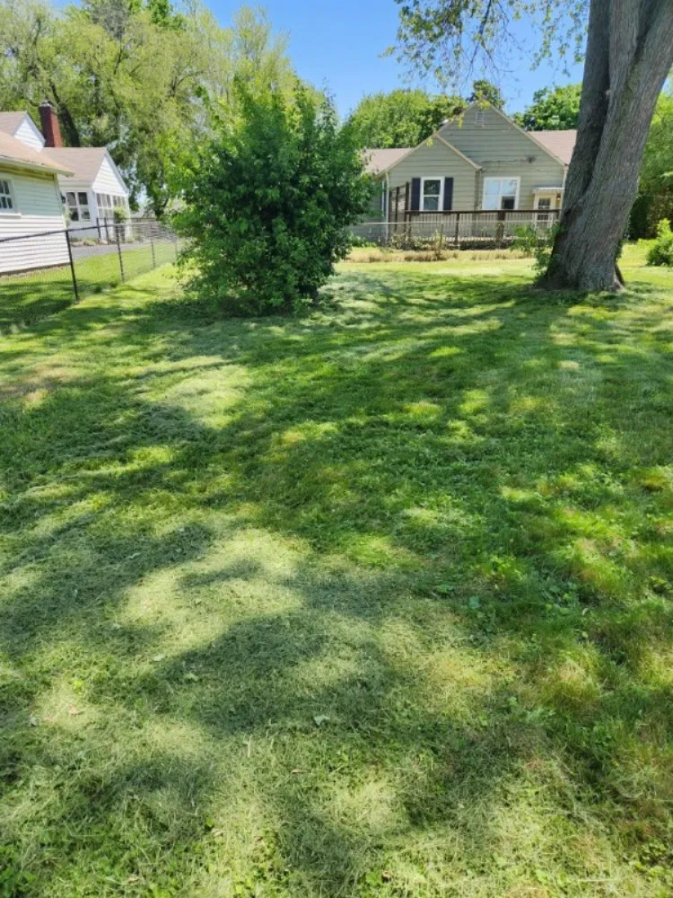 Expert lawn mowing service in Indianapolis, IN by Last Result Transpo