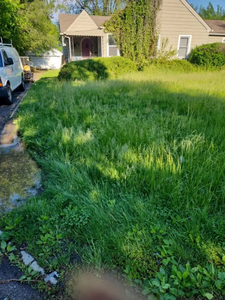 Professional garden landscaping near you in Indianapolis, IN by Last Result Transpo