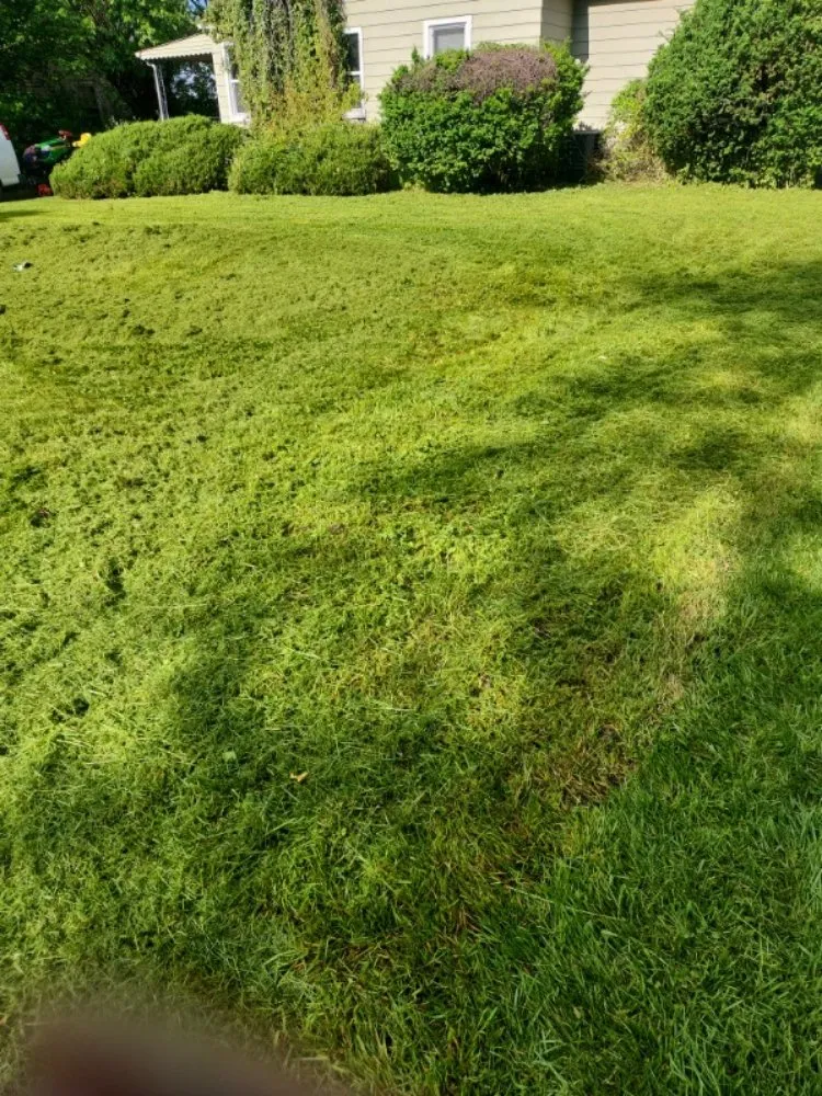 Professional landscape design for homes across Indianapolis, IN - Last Result Transpo