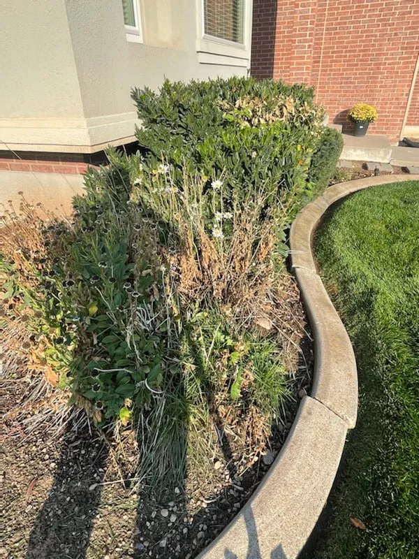 Professional lawn care service for beautiful yards across Roy, UT - Last Season Landscaping