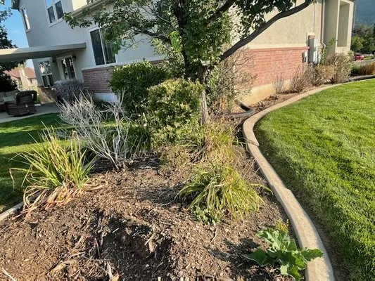 Last Season Landscaping Logo