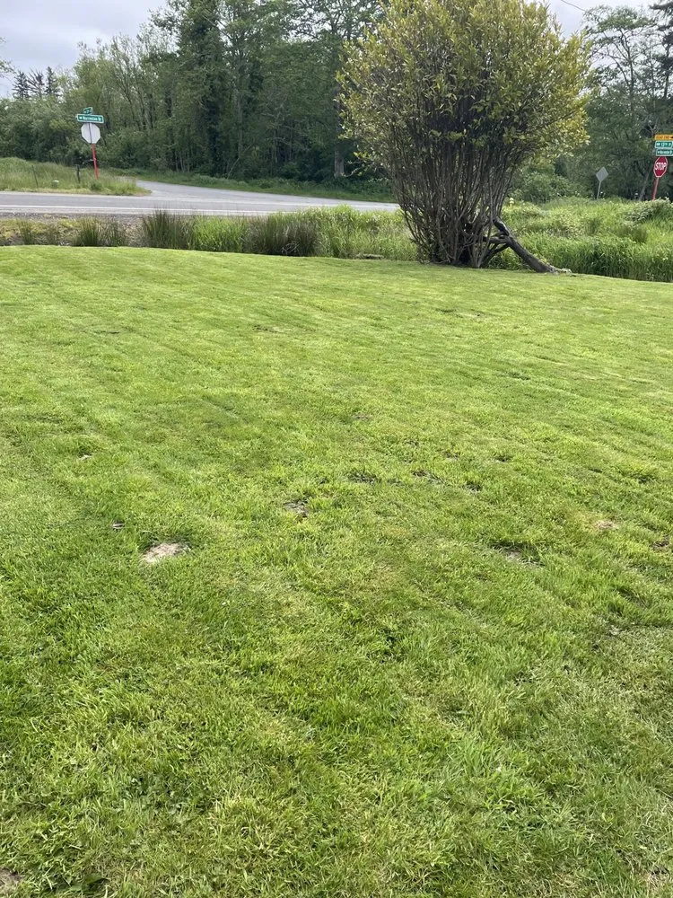 Top-rated garden landscaping in Warrenton, OR - Lasting Affordable Lawn Care