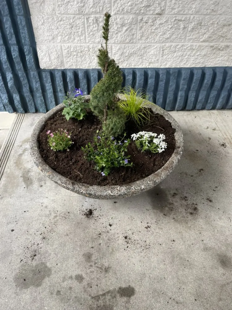 Local yard cleanup service for year-round maintenance in Warrenton, OR by Lasting Affordable Lawn Care