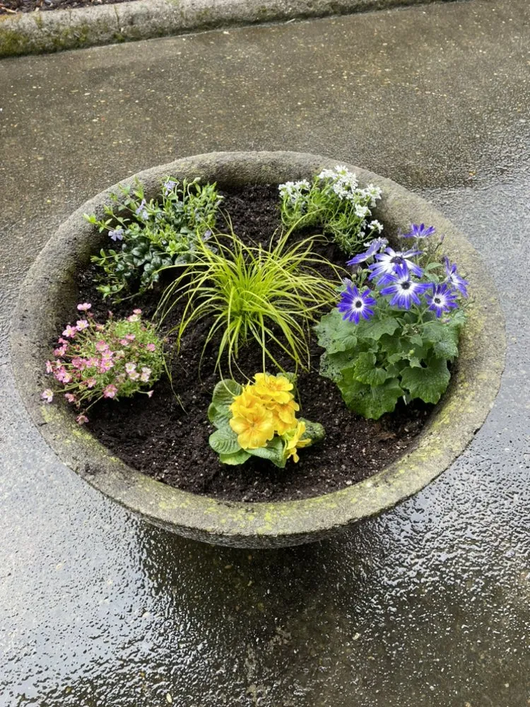 Expert yard maintenance in Warrenton, OR - Lasting Affordable Lawn Care