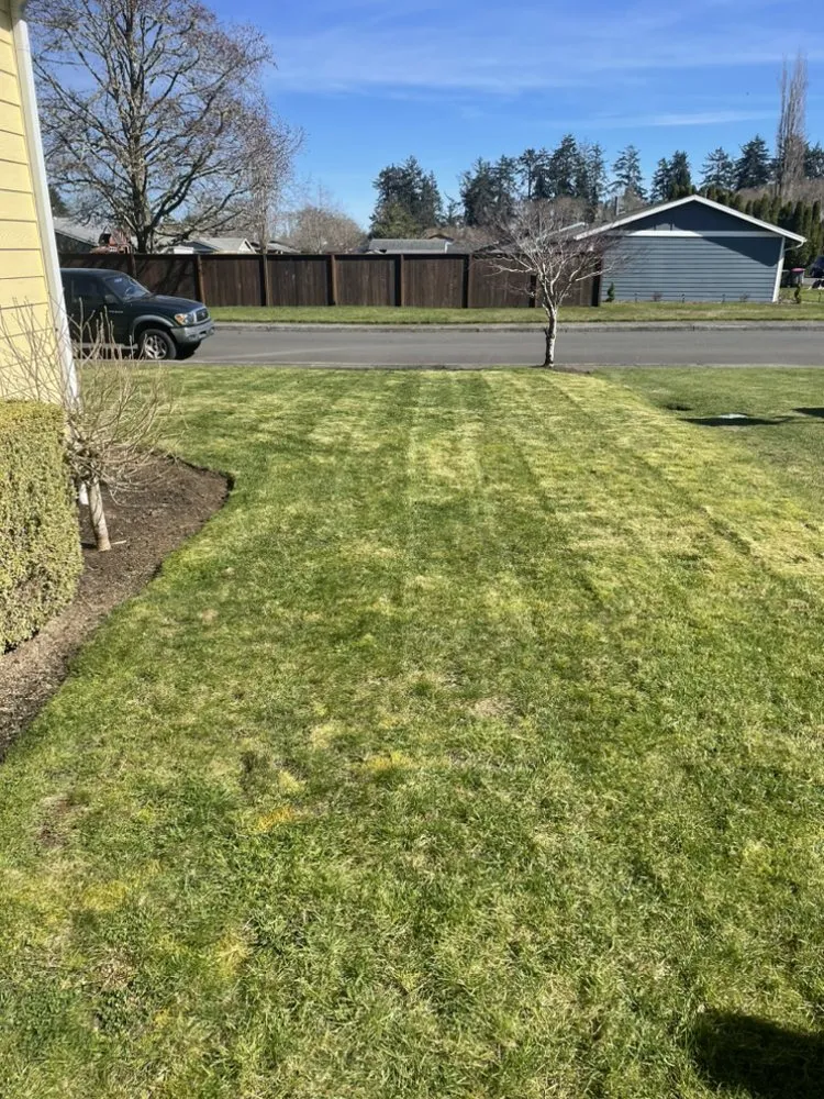 Local yard cleanup service in Warrenton, OR - Lasting Affordable Lawn Care