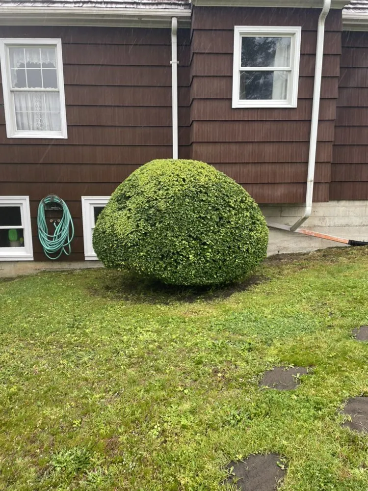 Custom landscaping services with custom design in Warrenton, OR by Lasting Affordable Lawn Care