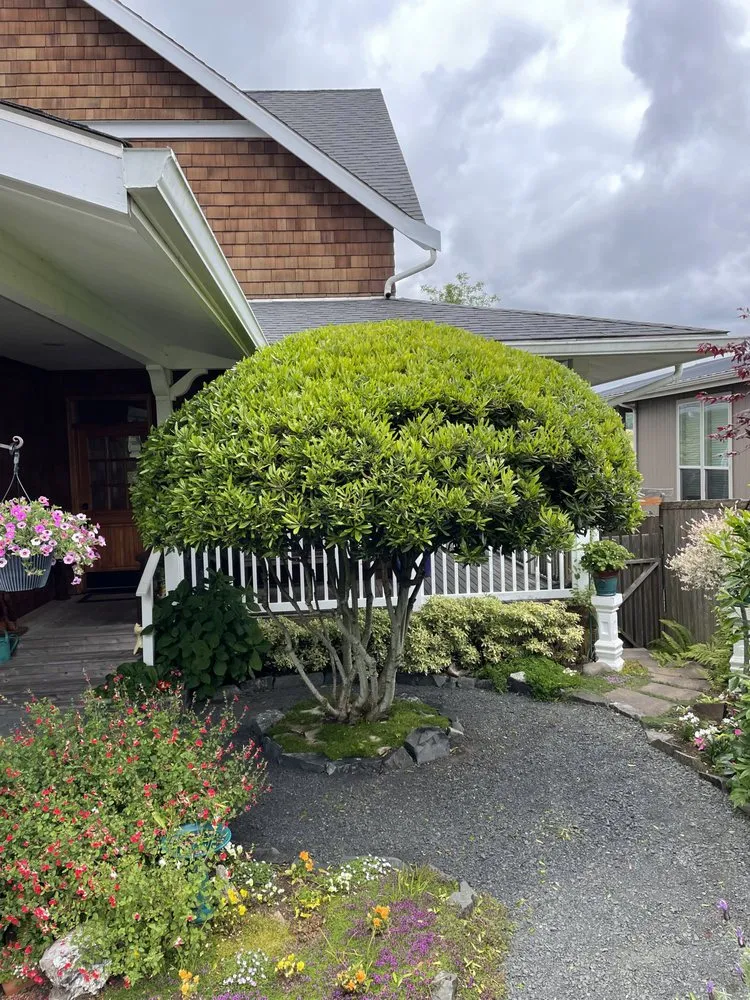 Custom lawn care service experts serving Warrenton, OR - Lasting Affordable Lawn Care