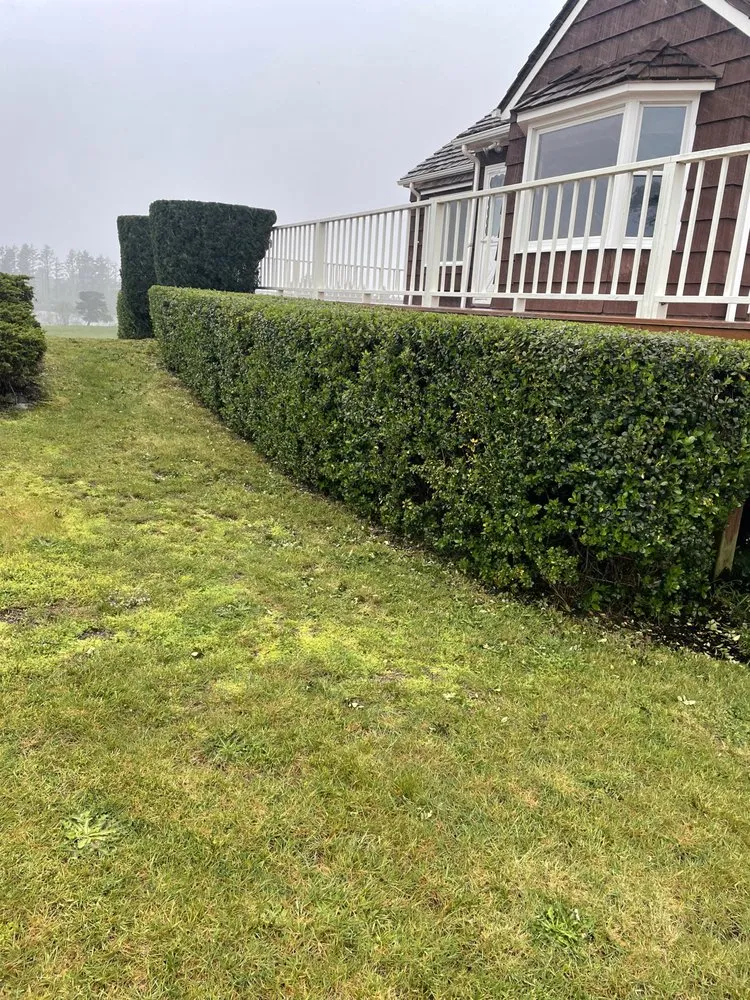 Affordable yard maintenance experts serving Warrenton, OR - Lasting Affordable Lawn Care