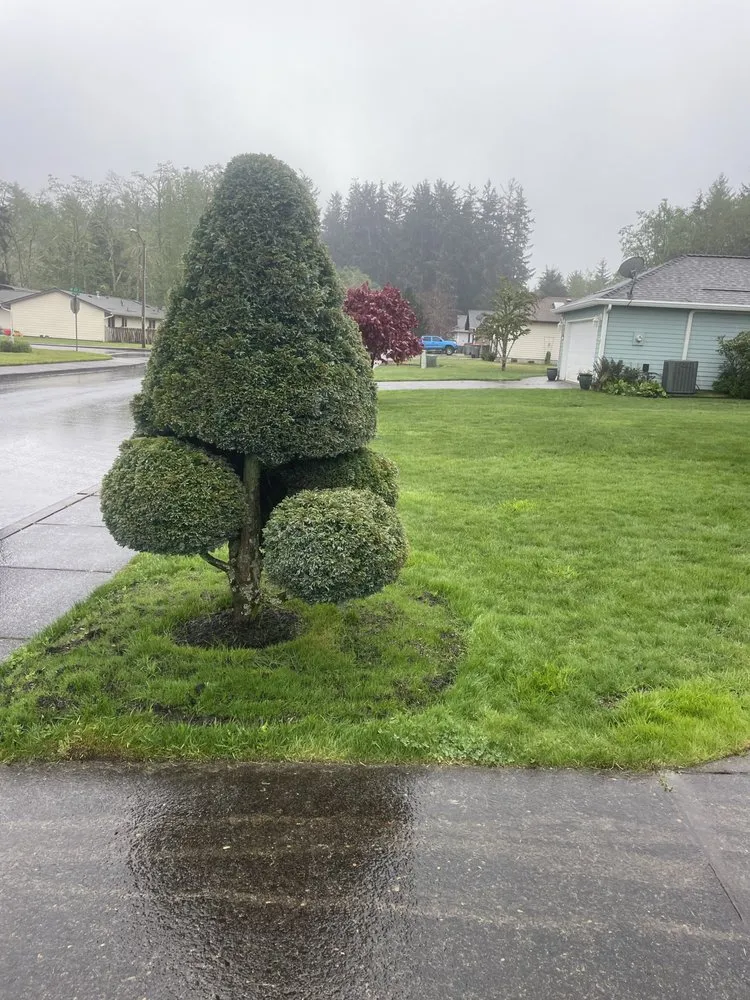 Reliable landscape design in Warrenton, OR - Lasting Affordable Lawn Care