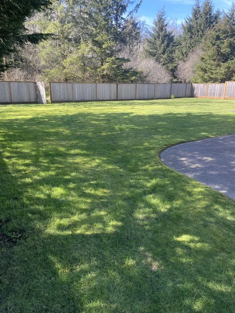 Trusted landscape design for outdoor upgrades across Warrenton, OR - Lasting Affordable Lawn Care