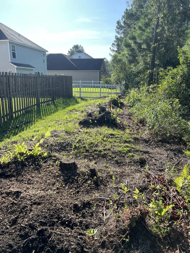 Reliable outdoor landscaping in Wilmington, NC - Lasting Cuts Maintenance & Landscaping