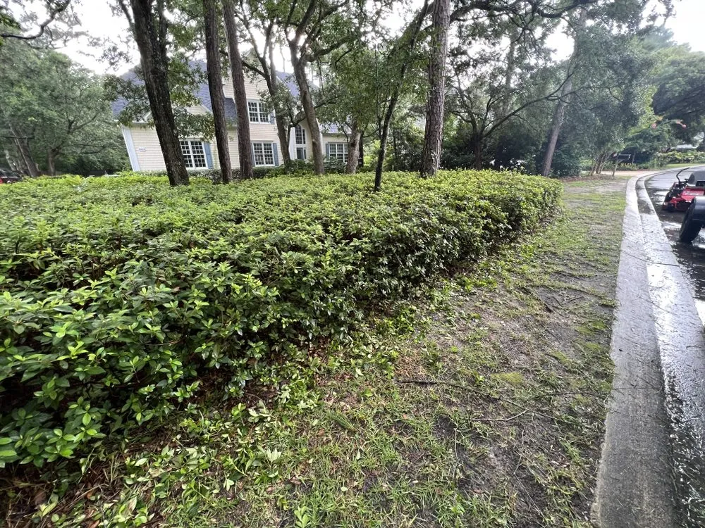 Reliable lawn care service in Wilmington, NC - Lasting Cuts Maintenance & Landscaping