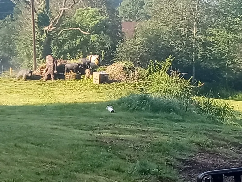 Custom residential landscaping experts serving Beach Lake, PA - Lasting Impressions Home & Lawn