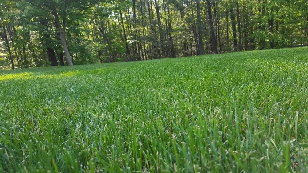 Reliable landscape design in Stroudsburg, PA by Lasting Impressions Landscaping