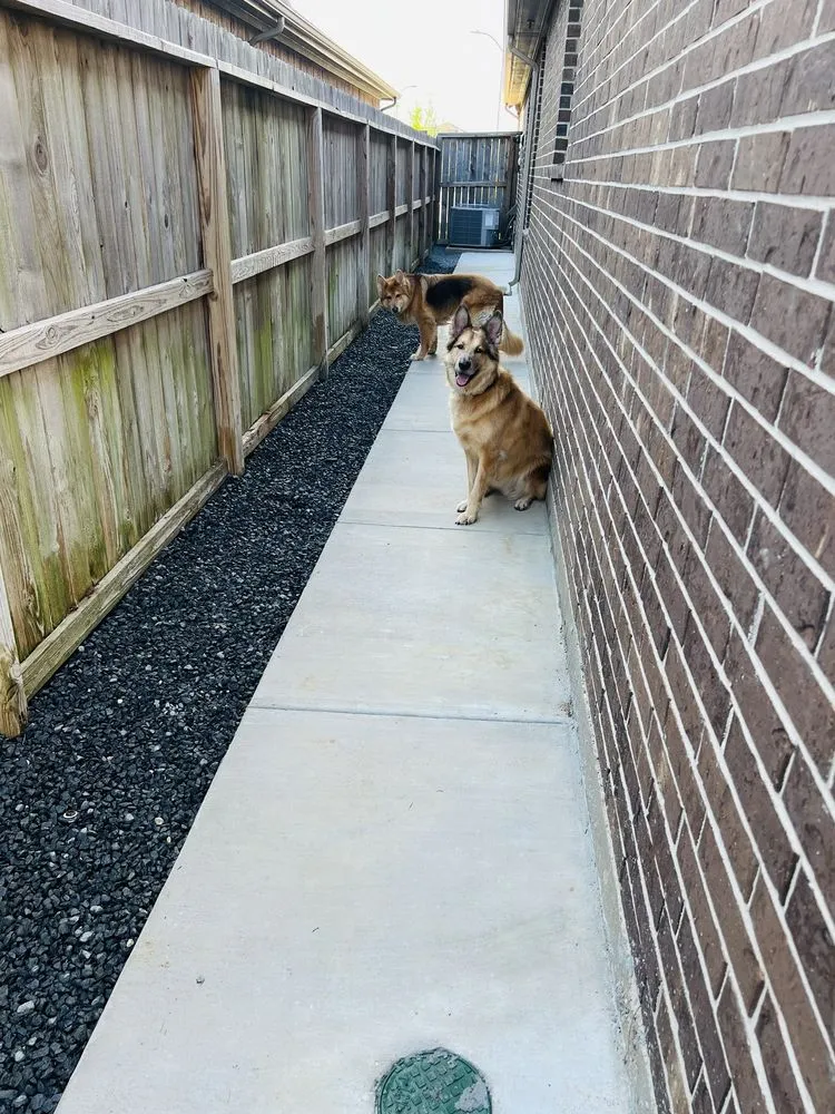 Top-rated yard maintenance in Sugar Land, TX by Lasting Landscapes