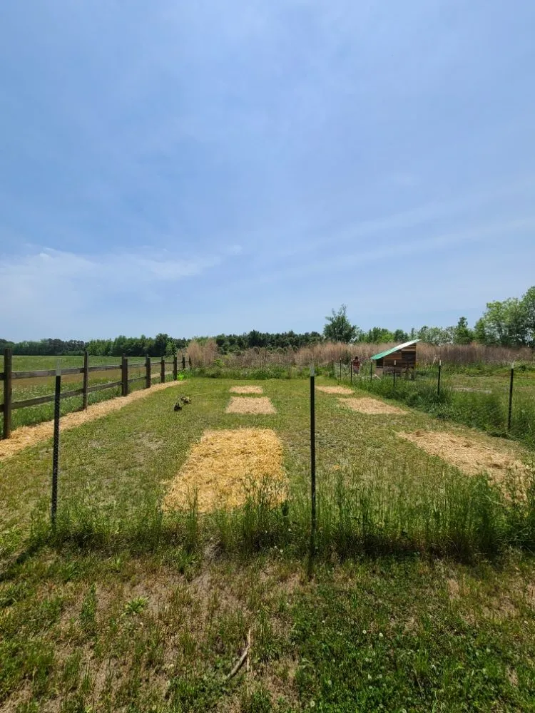 Expert residential landscaping experts serving Rowland, NC - Lasting Touch Exterior Care