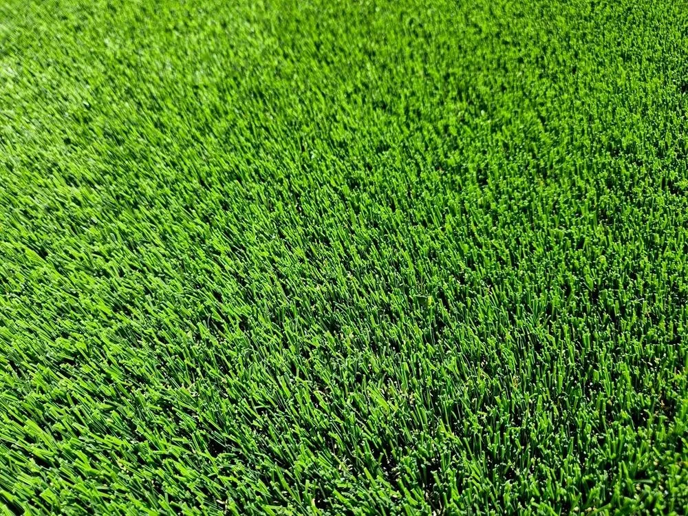 Expert yard maintenance experts serving San Diego, CA - Lastor Landscaping