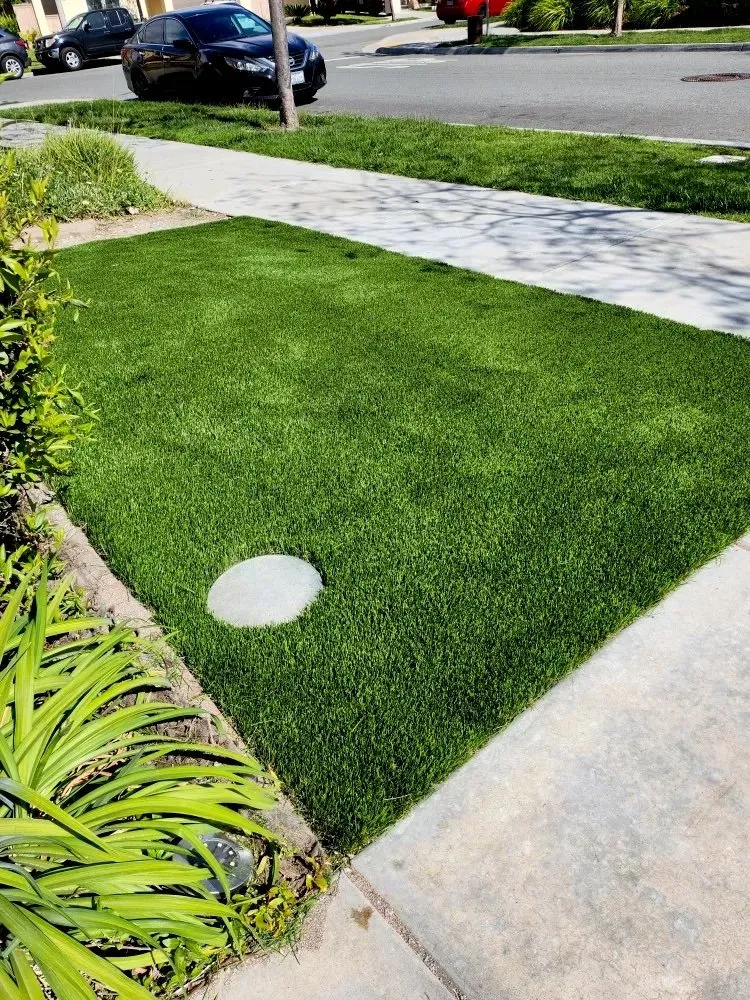 Affordable landscape installation in San Diego, CA - Lastor Landscaping