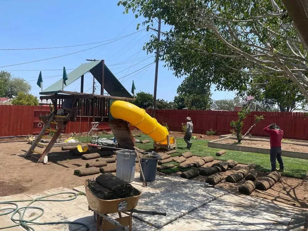 Trusted yard maintenance experts serving San Diego, CA - Lastor Landscaping