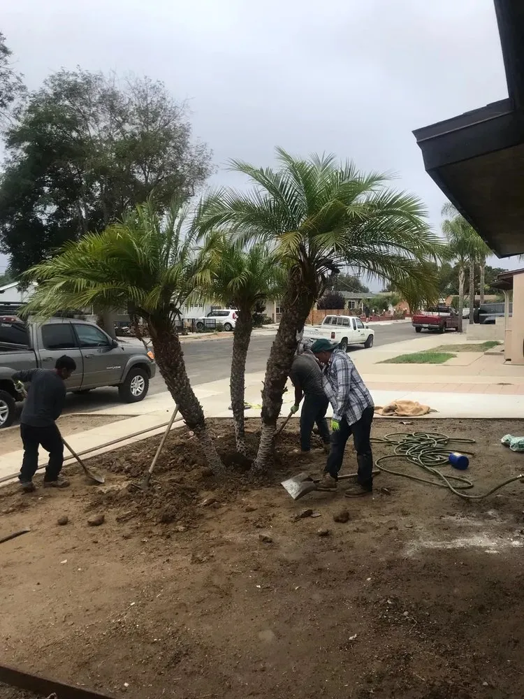 Affordable outdoor landscaping experts serving San Diego, CA - Lastor Landscaping