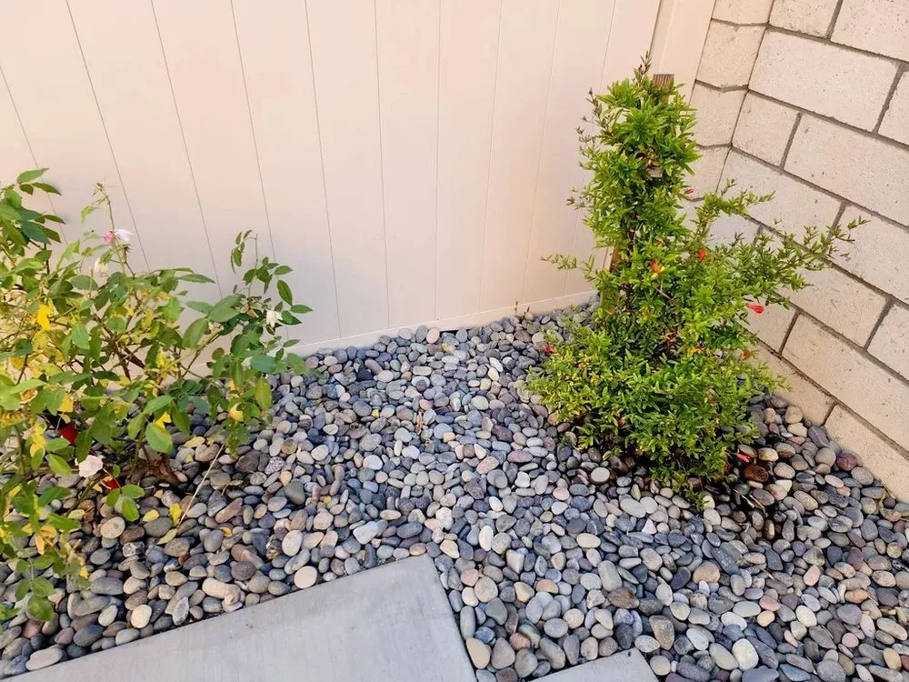 Trusted landscape design in San Diego, CA - Lastor Landscaping