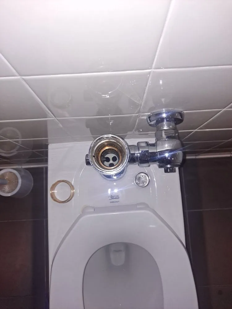 Expert yard maintenance near you across Pikesville, MD - Lastphaze