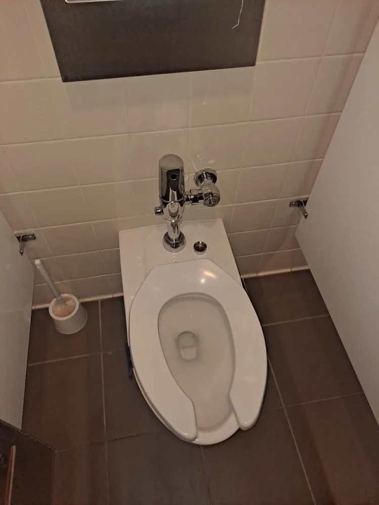 Professional landscaping services in Pikesville, MD by Lastphaze