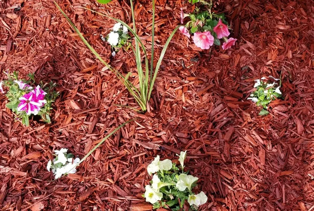 Trusted lawn mowing service for homes in Marietta, PA by Latched Landscaping And Mowing