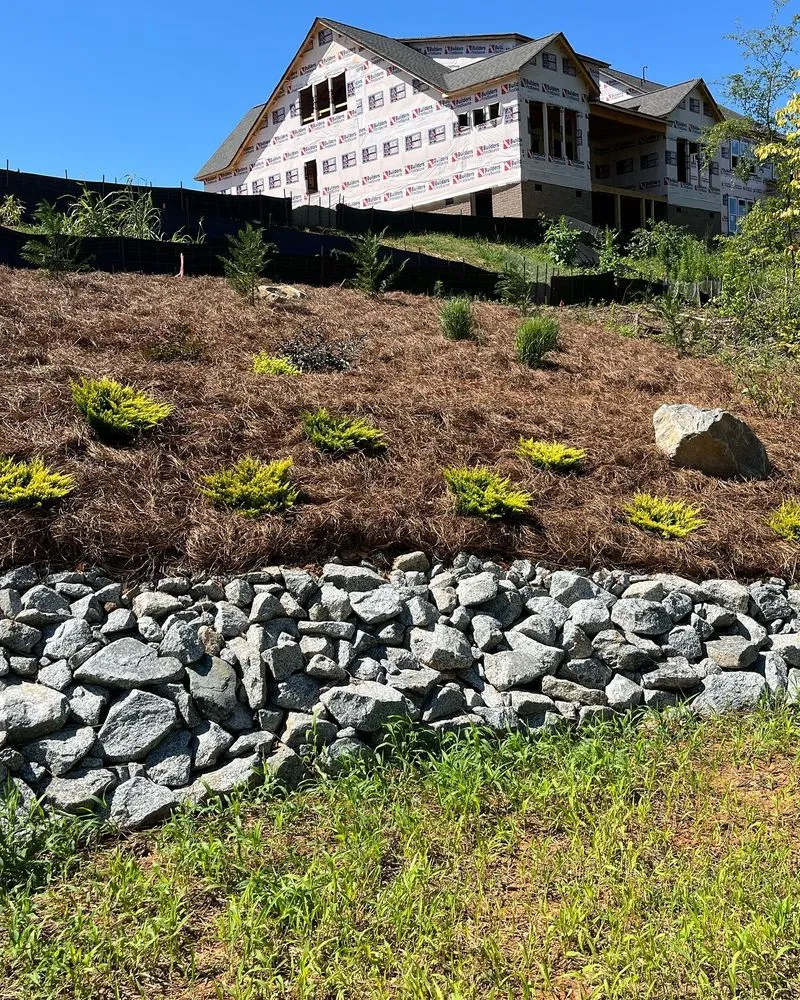 Affordable yard maintenance in Mount Holly, NC - Late Bloomers Nursery and Landscaping