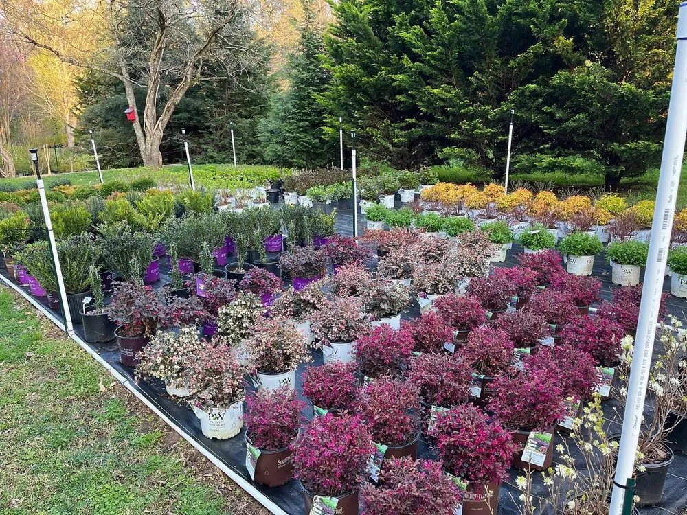 Top-rated garden landscaping for outdoor upgrades across Mount Holly, NC - Late Bloomers Nursery and Landscaping