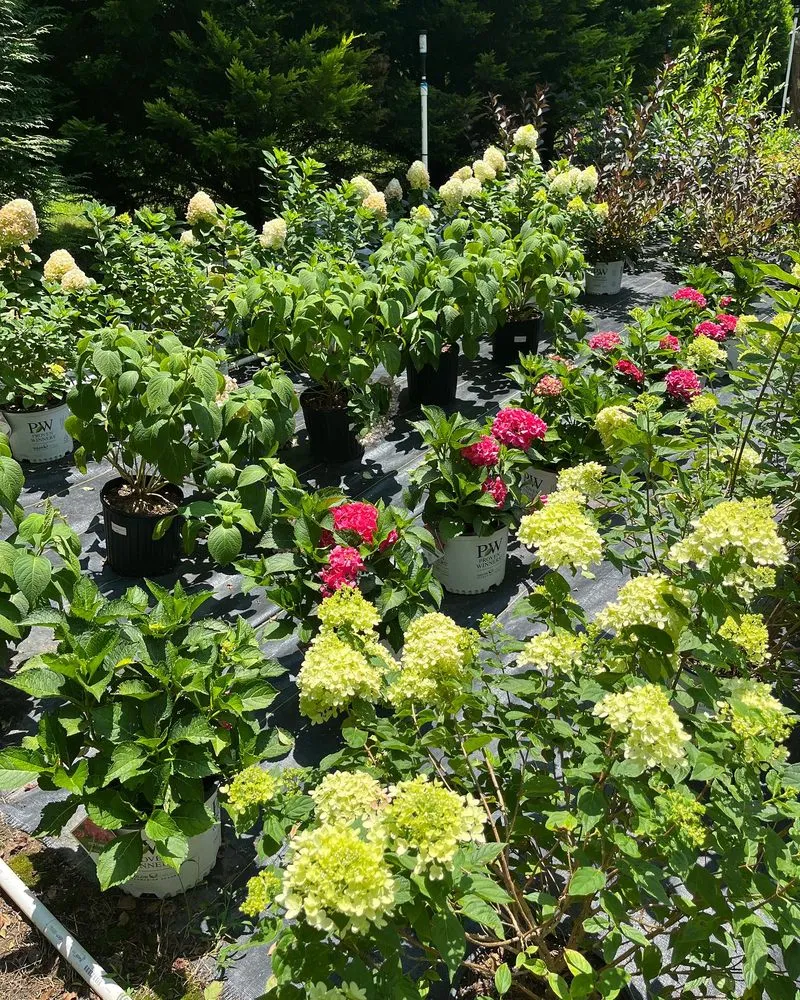 Expert garden landscaping in Mount Holly, NC by Late Bloomers Nursery and Landscaping